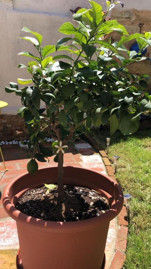 Magalocanda Stanze Sotto Al Castello Montemagno  エクステリア 写真